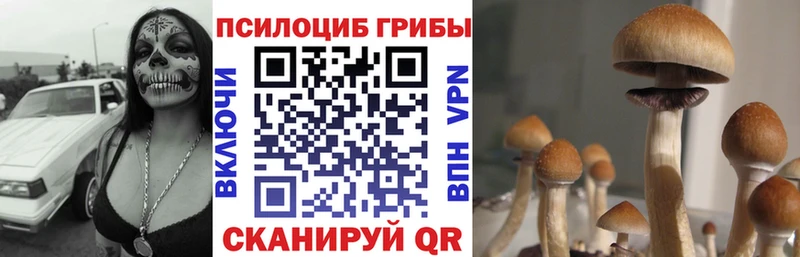площадка Telegram  мега сайт  Свирск  Галлюциногенные грибы прущие грибы 